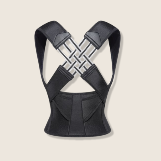 حزام دعم الظهر