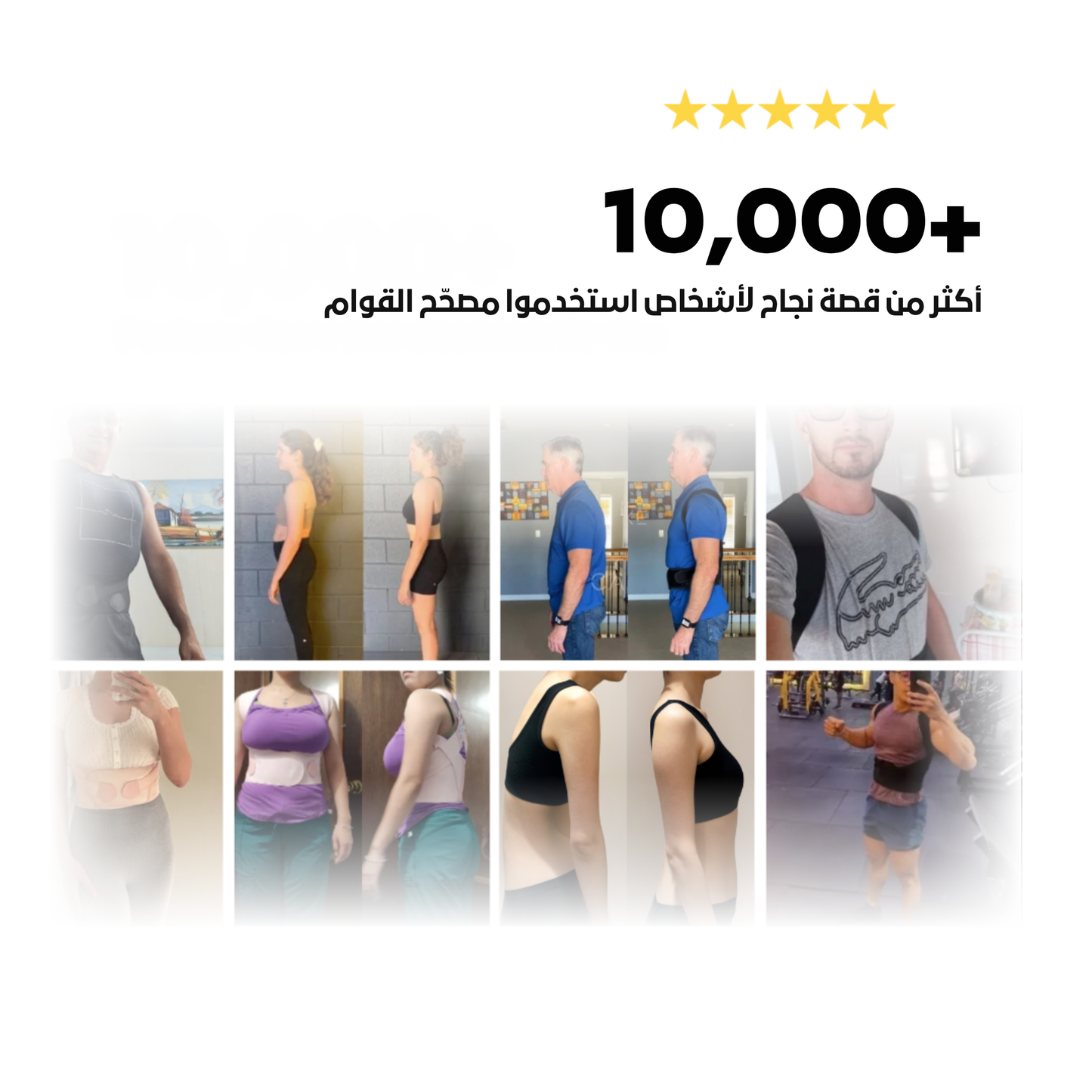 حزام دعم الظهر