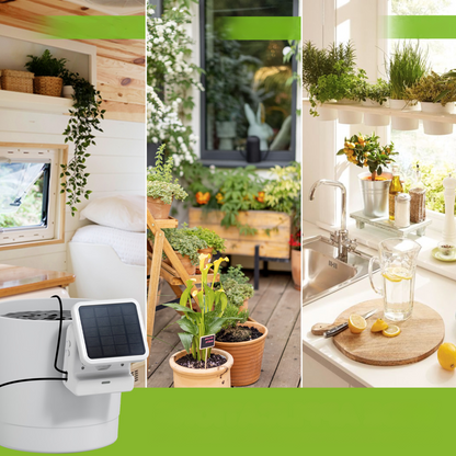 نظام سقي النباتات بالطاقة الشمسية