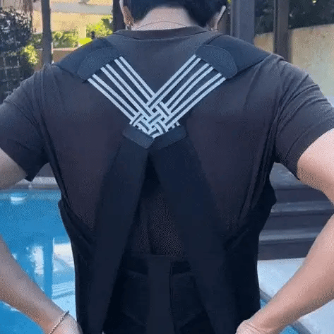 حزام دعم الظهر